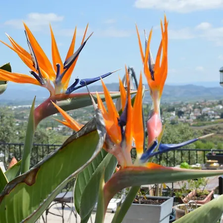 Mirador Infinito Bed and breakfast *